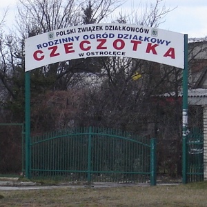 Włamania do altanek na terenie ogródków działkowych
