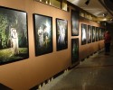 Już w sobotę! Galeria Bezdomna - każdy może wywiesić swoje fotografie! 