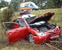 Łoś pod kołami toyoty. Zwierzę padło, dwie osoby w szpitalu 