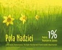 Sadzimy żonkile. Pola Nadziei po raz trzeci w Ostrołęce 