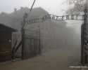 Podpisz petycję przeciw „polskim obozom koncentracyjnym” 