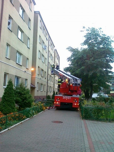 fot. czytelnik 