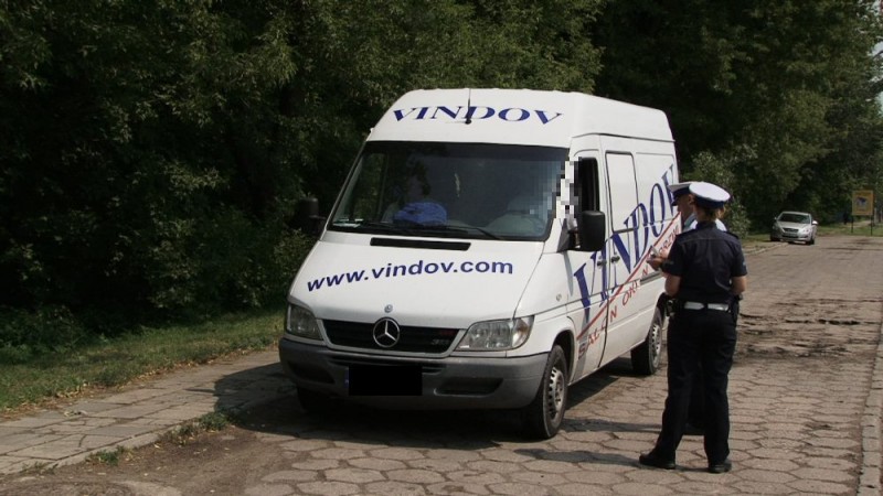 fot. D. Płoski 