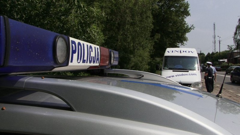 fot. D. Płoski 