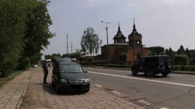 fot. D. Płoski 