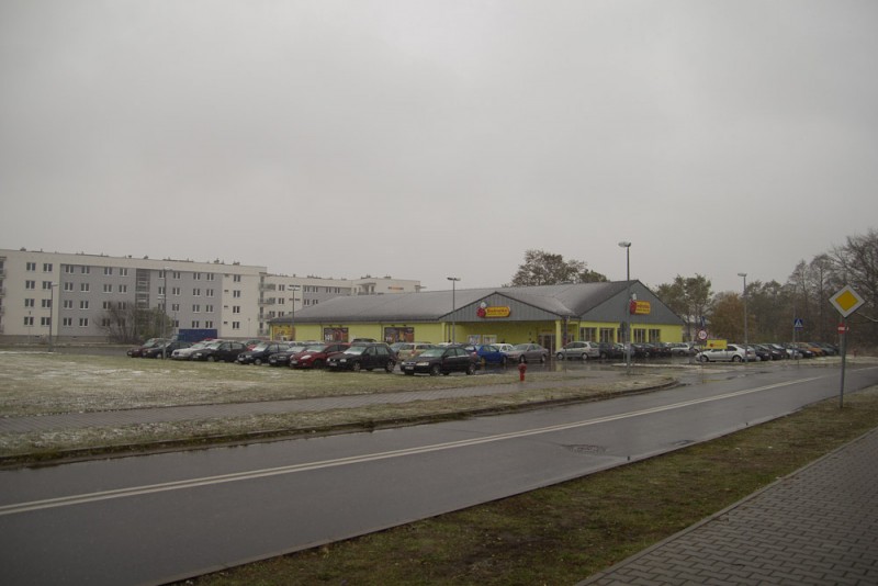 fot. D. Płoski 