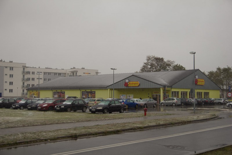 fot. D. Płoski 