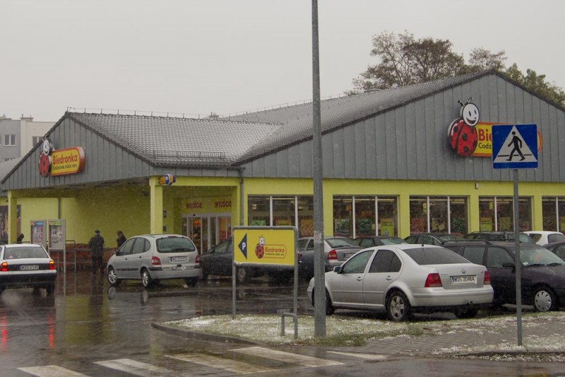 fot. D. Płoski 