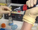 Będzie okrągły stół ws. in vitro? 