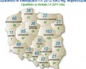 Tak się żyje na zielonej wyspie: Mazowsze z największą liczbą upadłości 