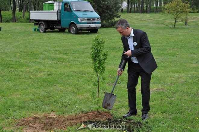 Projekt „Sadzimy Drzewa na Mazowszu” [ZDJĘCIA]