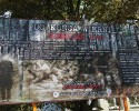 „Do końca wierni...” czyli nowa odsłona edukacyjnej akcji billboardowej [ZDJĘCIA]
