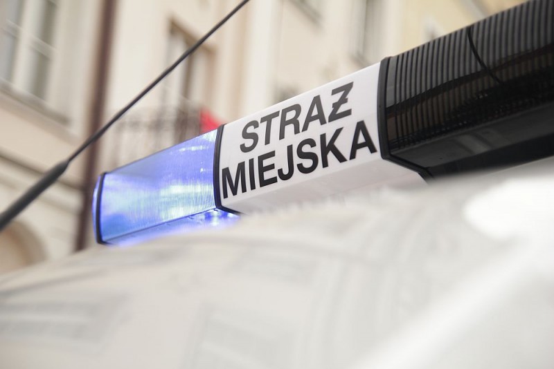 Ostrołęccy strażnicy miejscy mają nowy samoch&oacute;d. To niewielki, napędzany silnikiem diesla ford transit connect, fot. eOstrołęka.pl