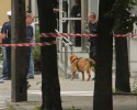 Fałszywy alarm bombowy w Prokuraturze [ZDJĘCIA]