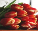 Życzenia z okazji Dnia Kobiet od portalu eostroleka.life