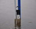 Narew coraz bliżej stanu alarmowego. W ciągu doby przybrało kolejne 8 cm