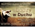Pallotyński Czuwanie Maturzystów