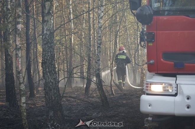 Gigantyczny pożar lasu w gminie Kadzidło, fot. eostroleka.life