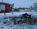 Pożar przy Sikorskiego. Palił się pojemnik na makulaturę [ZDJĘCIA]
