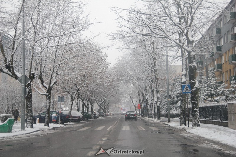 fot. eostroleka.life