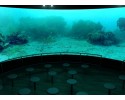 To już pewne: W Ostrołęce powstanie kino 3D 360! [WIDEO, WIZUALIZACJA]