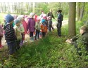 Edukacyjnie i ekologicznie – wycieczka przedszkolaków z Goworowa [ZDJĘCIA]