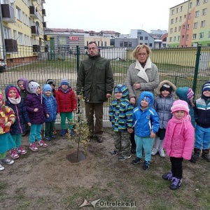 Ostrołęka: Święto Drzewa w „Krainie Misiów” [ZDJĘCIA]