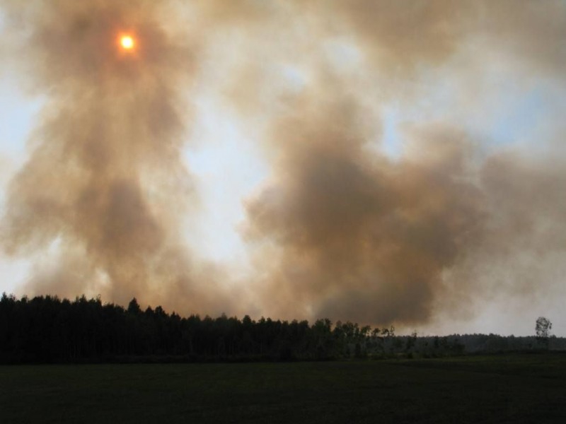 fot. Michał Stępień/Regionalna Dyrekcja las&oacute;w Państwowych w Olsztynie