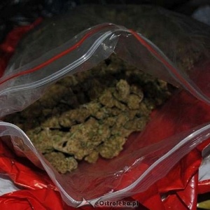 Niemal 2,5 kilograma narkotyków u mieszkańców Małkini Górnej