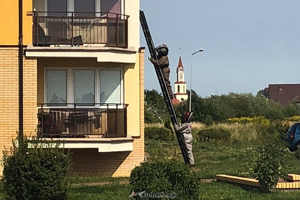 fot. eostroleka.life