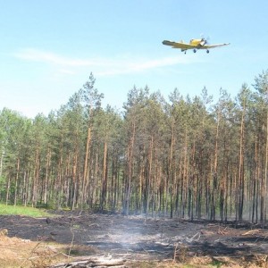 Strażak ochotnik okazał się podpalaczem. Wpadł po kolejnym pożarze