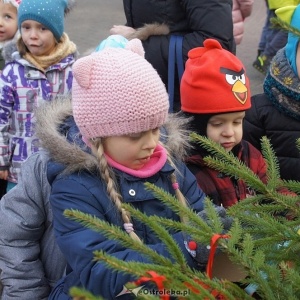 Przedszkolaki stroiły choinki w centrum Ostrołęki [ZDJĘCIA]