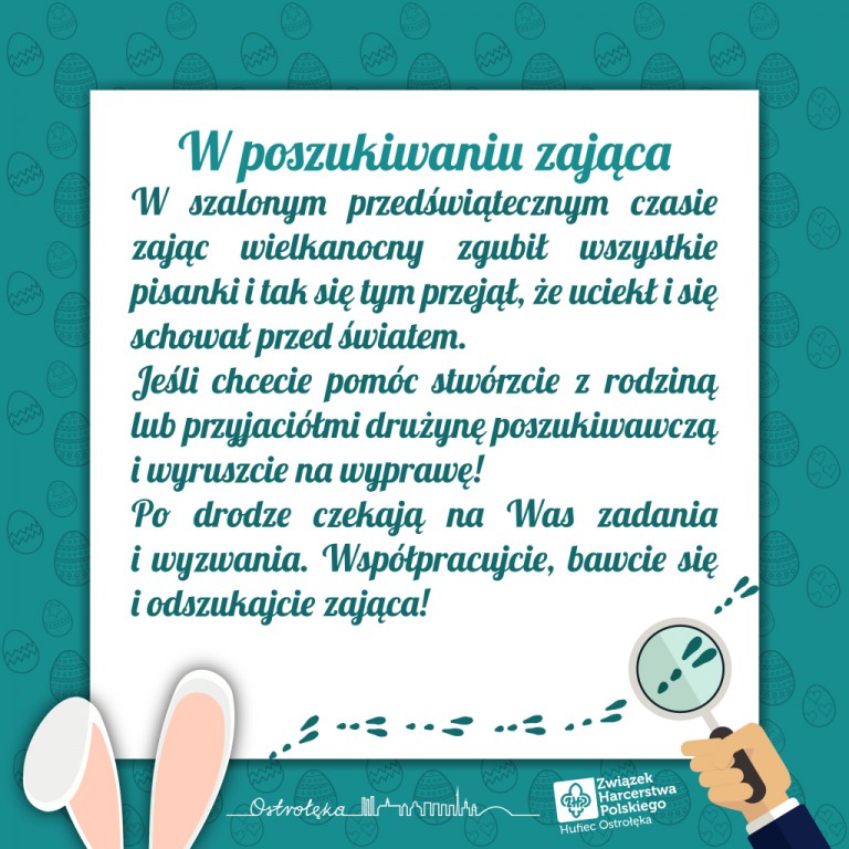 zdjecie