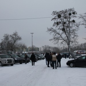 Ostrołęcka Giełda Samochodowa [ZDJĘCIA]