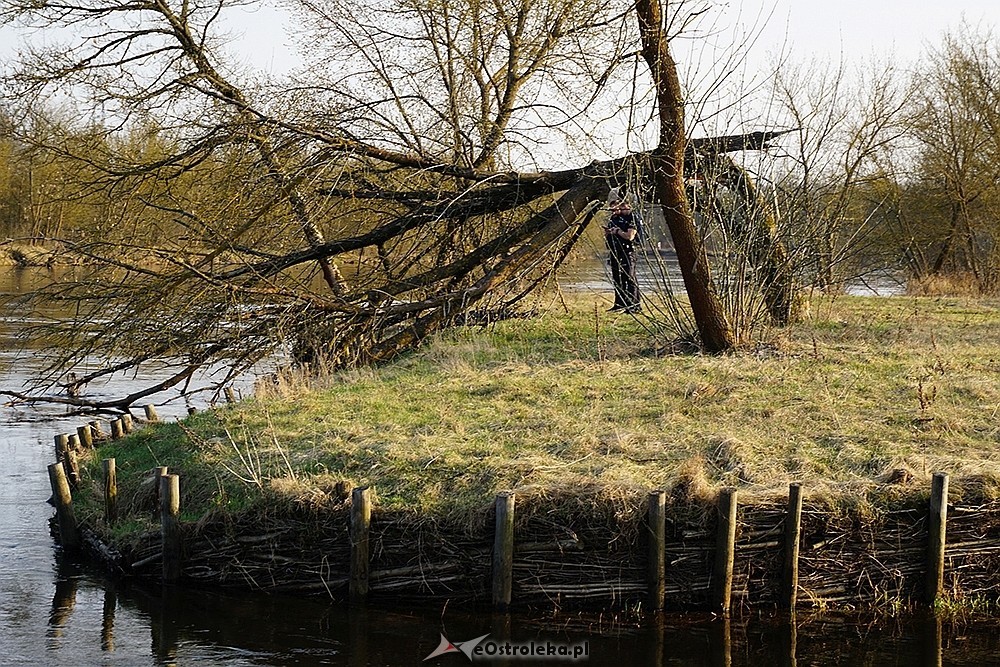 fot. eostroleka.life