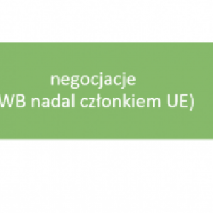 BREXIT a Prawa Polaków w Wielkiej Brytanii