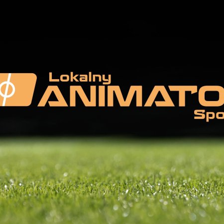 Nabór animatorów sportu na orlikach