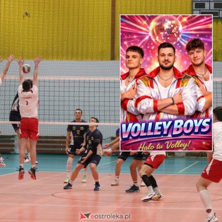Halo, halo, tu Volley. Potrafią nie tylko w siatkówkę, ale i w internety! [WIDEO]