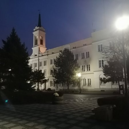 Stypendia, nagrody... Jakie sportowe inicjatywy wspiera Urząd Miasta?