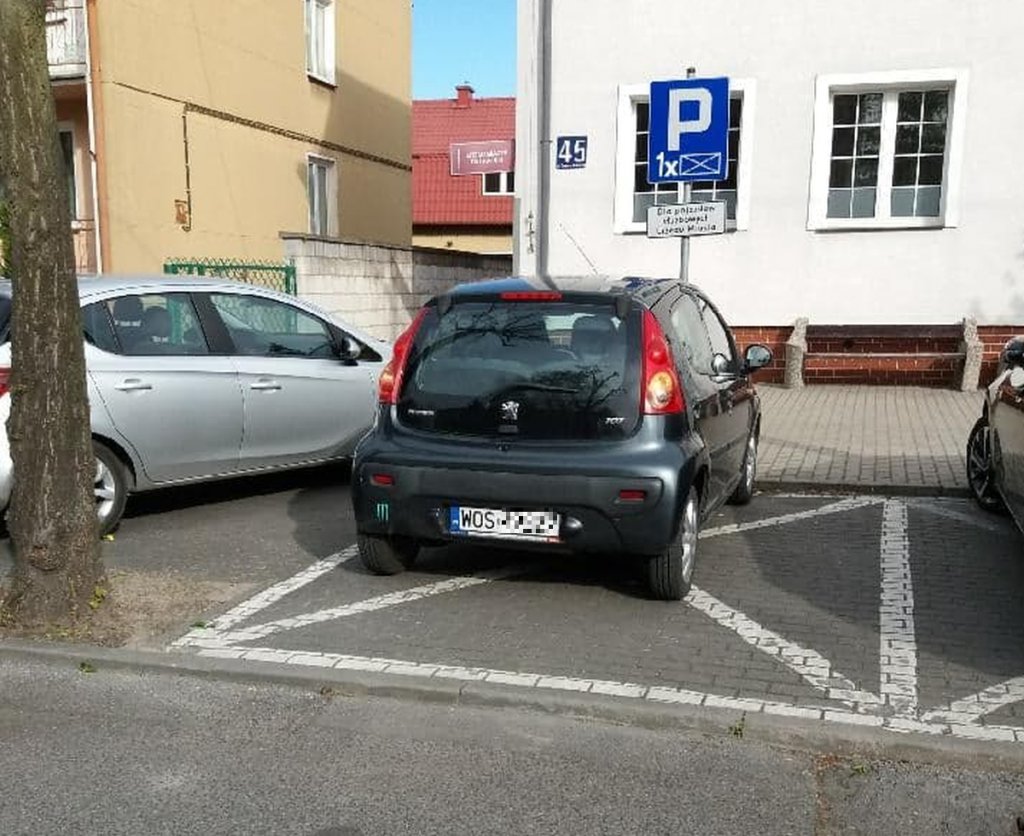 fot. eostroleka.life
