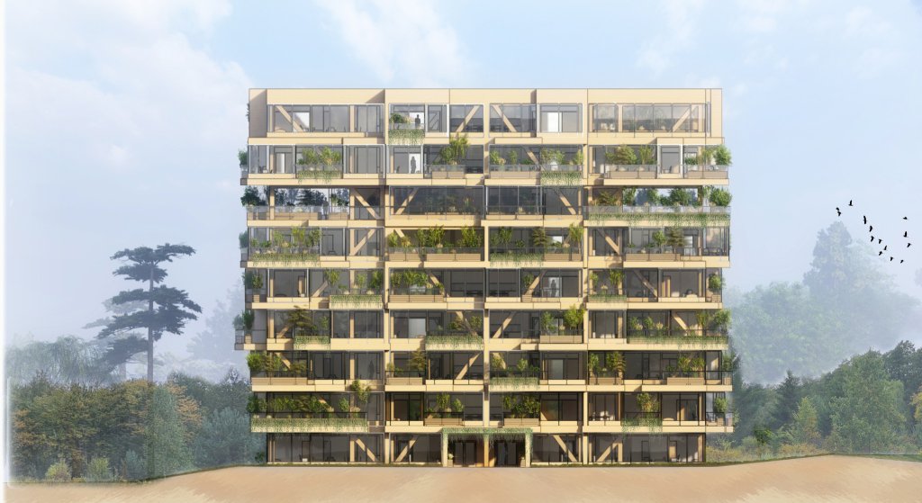 Projekt Hotelu Patrycji Mr&oacute;z