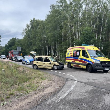Wypadek w Jastrząbce. Sprawca ukarany mandatem za swoją nieuwagę [ZDJĘCIA]