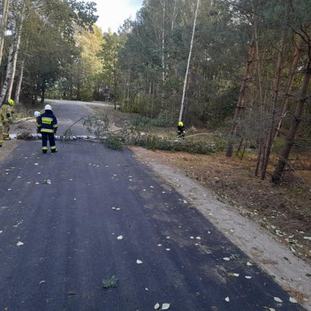 Wichura przeszła przez region. W okolicach Myszyńca drzewo runęło na auto [ZDJĘCIA]