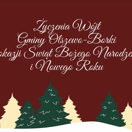 Życzenia Bożonarodzeniowe od Wójt Gminy Olszewo-Borki [Wideo]