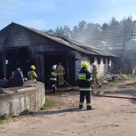 Poważny pożar w Lelisie! Spłonął budynek gospodarczy i składowana w nim słoma [ZDJĘCIA]