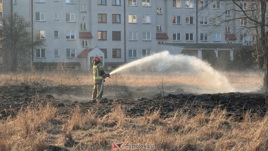 fot. eostroleka.life