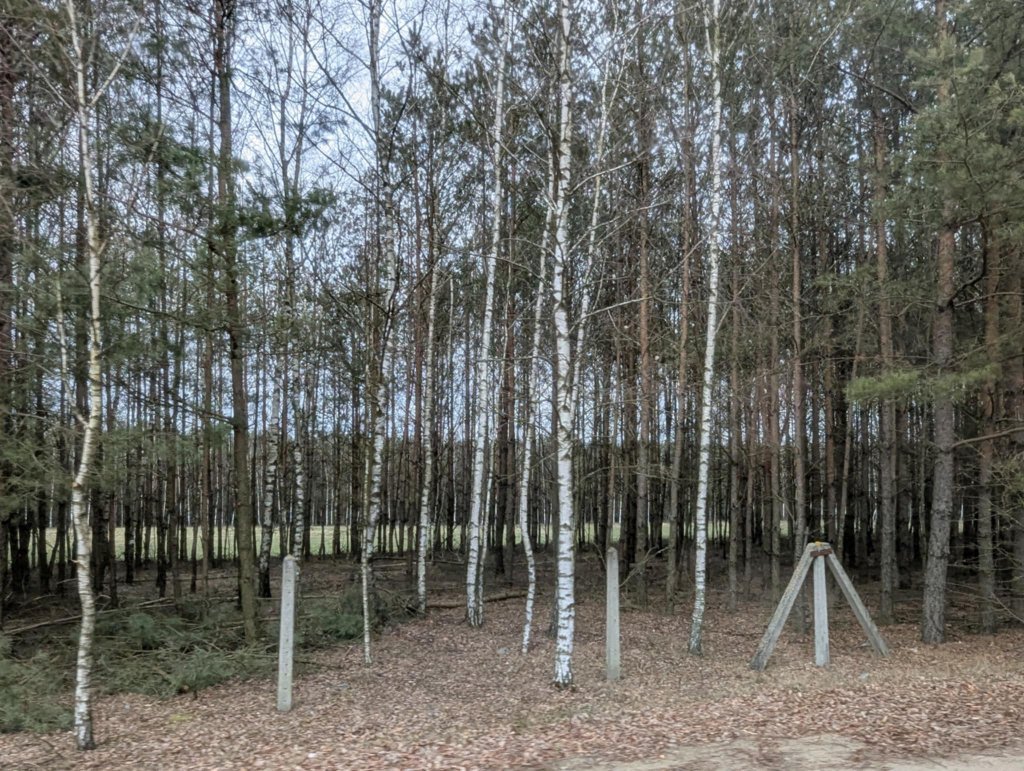 Wok&oacute;ł są lasy i pola