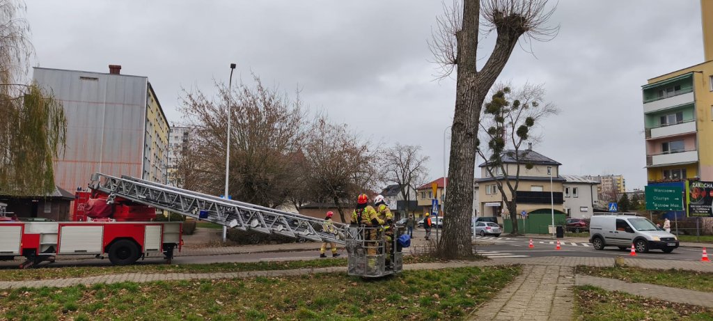 fot. OSP Ostrołęka