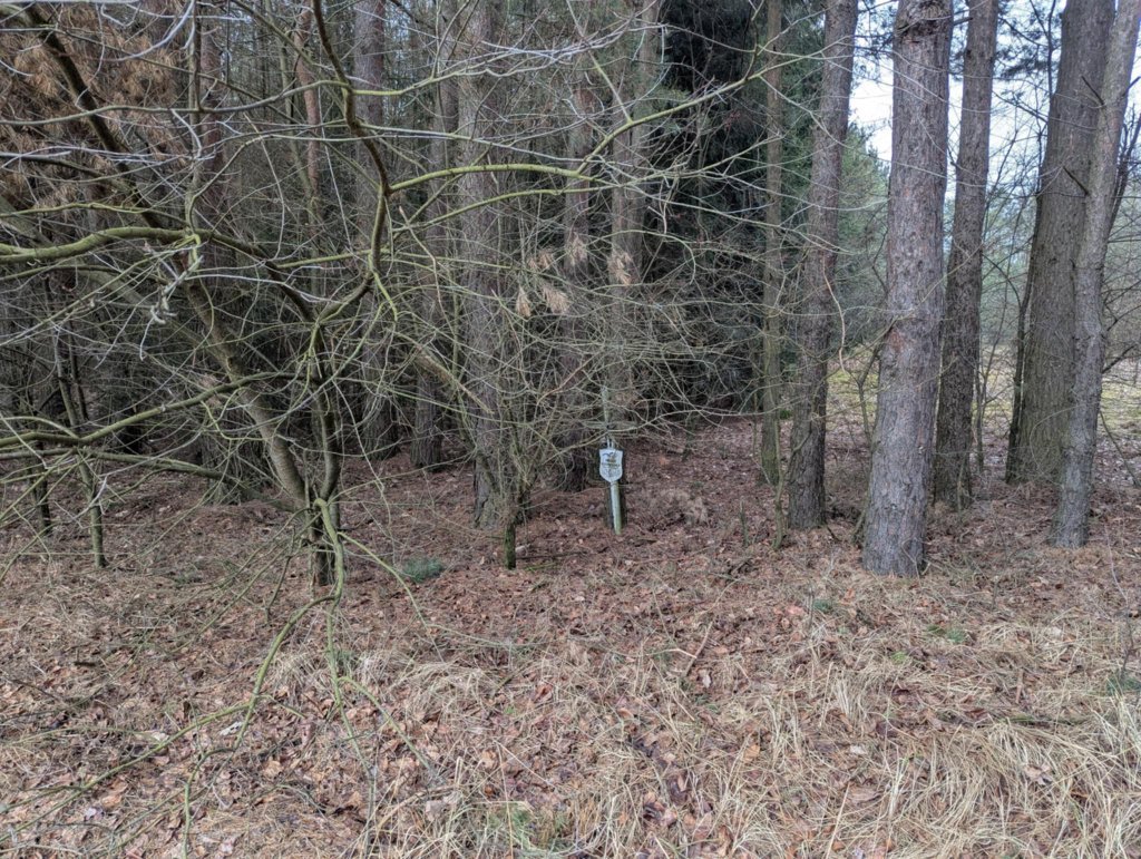  To w tym miejscu odnaleziono ciało 26-latki