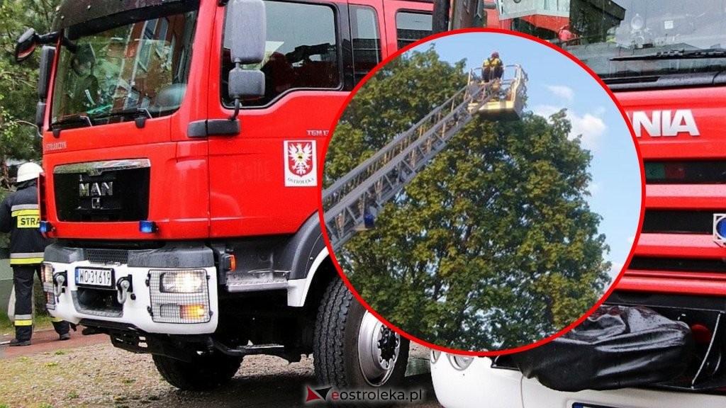 zdjęcie ilustracyjne, fot. eostroleka.life